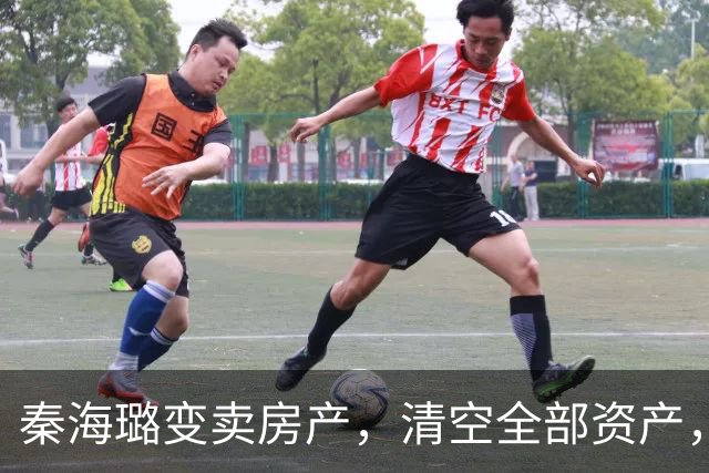 秦海璐变卖房产，清空全部资产，凑出近亿身家，绝境兜底救下刘涛